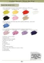 Crochet pattern for frog Klava, PDF English, Germany, France amigurumi - Image 7